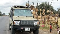 1 x Day Trip to Mikumi National Park from Dar Es Salaam