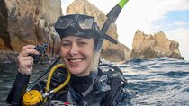 Espíritu Santo Island: snorkel SEA LIONS and Balandra Small Group