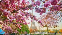 Half Day Private Tour of Paris with a Local