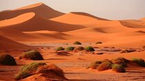 3-Day Sahara Adventure from Fes to Marrakech 