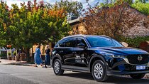Wine Tasting and Lunch Private Tour in McLaren Vale