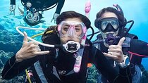 Scuba Diving Adventure in Alanya with Lunch & Hotel Transfer 