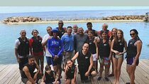  Private Dolphin Cove Adventure 