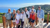 Tangier Private Tour from Malaga Including Camel Ride & Lunch 