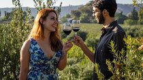 Ultimate Maipú Adventure: Winery Tour & Gourmet Lunch