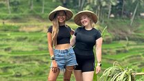Gunung Kawi Rice Terrace Swing And Waterfall Private Guided Tour 