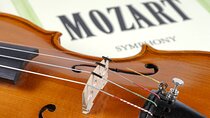 Mozart’s Trail in Prague with skip-the-line Museum of Music 