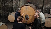 Priorat tour to 3 small wineries and hotel pick-up