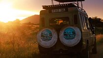 7 Days All inclusive Premium Safari Adventure in Tanzania