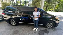 RoundTrip private transfers from punta cana to uvero alto área
