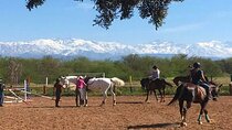Marrakech & The Farm Experience!