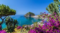 Exclusive Ischia Day Trip & Food Tasting with Top Guide and Driver from Naples 