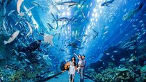 Dubai Aquarium & Underwater Zoo