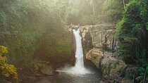 Ubud: Waterfalls, Rice Terraces & Cultural Delights