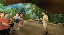 Daintree, Mossman Gorge and Wildlife Tour from Cairns
