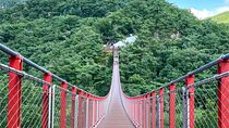 Seoul City Highlights Tour: Hanok Village, Scenic Routes