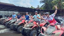 ATV Thrill Ride And Ubud Waterfall Hidden Gems Private Tour 