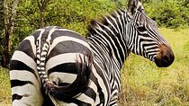 1 Day Lake Mburo National Park Safari