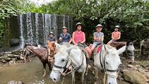 Horseback Riding to The Arenal Volcano