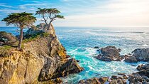 Carmel Tour in The Heavenly 17 Mile Drive