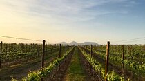  Costa Brava Coves Towns and Winery Private Tour