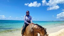 Bob Marley Museum, Dunn's River Falls and Horseback Riding 
