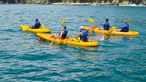 Ocean Kayaking and Snorkeling 
