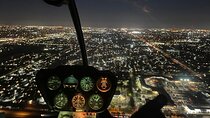 Guitar Hotel or Miami Dolphins Stadium Helicopter Tour