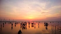 Taichung City Landmarks and Gaomei Wetlands Day Tour from Taipei