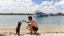 Miami Island Adventure: Boat Rental to Raccoon Island 