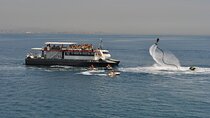 Catamaran ride and swim from the port of Valencia