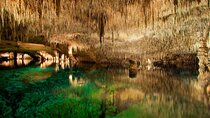 Half Day Tour Bus to the Caves of Drach