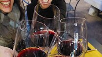Authentic Full dinner & Wine Experience with a Sommelier in Pisa