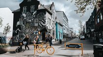 Private Reykjavik Street Art Walking Tour - The Instagram Tour