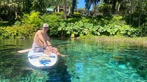 Rainbow Springs Electric Paddle Tour