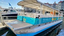 Fins Up - Dolphin & Island Sandbar Adventure in Clearwater Beach