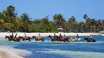 Private Horse Back Riding And Dunns' River Falls From Montego bay