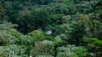  Sky Trek Up and Down Tram Tour in La Fortuna