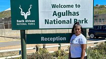 Cape Agulhas in a Private Vehicle from Cape Town for a Full Day
