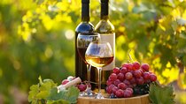 Santorini’s Local Tastings