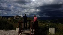 Truffle hunting in Istria private experience
