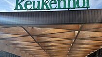 Amsterdam to Keukenhof Garden And Zaanseschans Windmills