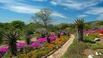 Cape Road Trip, Kirstenbosch Gardens Tour, Three Course Lunch 