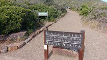 Private Excursion Cape of Good Hope and Penguins Tour