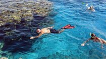 Snorkel at Marsa Mubarak from Marsa Alam with transfers lunch
