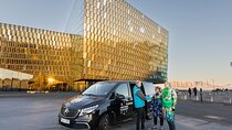Private 6 Hour Airport or Cruise Tour with Transfer