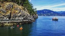 Morning Kayak & Seal Cruise