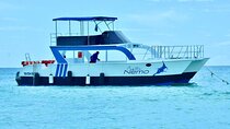 Catalina Island Full Day Snorkeling Tour 