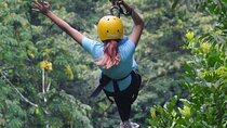 ZipLine and Rappel