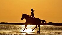 Horse Riding in Manavgat Side Forest and Beach